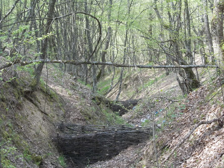 Erozija